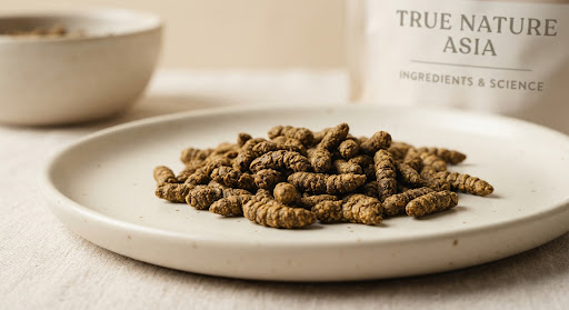 High-quality Black Soldier Fly protein pellets on a ceramic plate