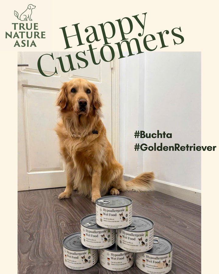Buchta the golden retriever with a stack of TNA cans