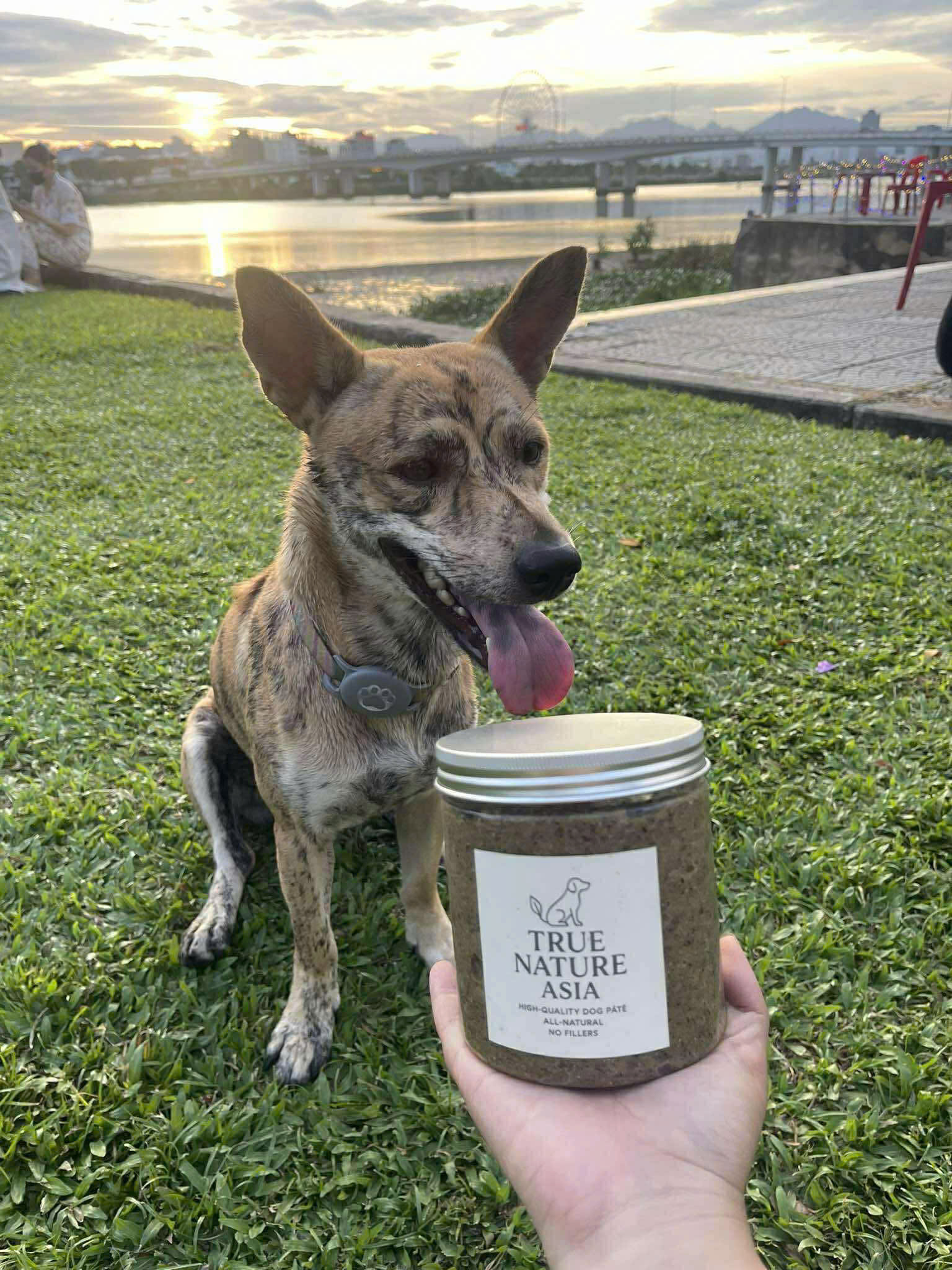 True Nature Asia jar by the Da Nang river