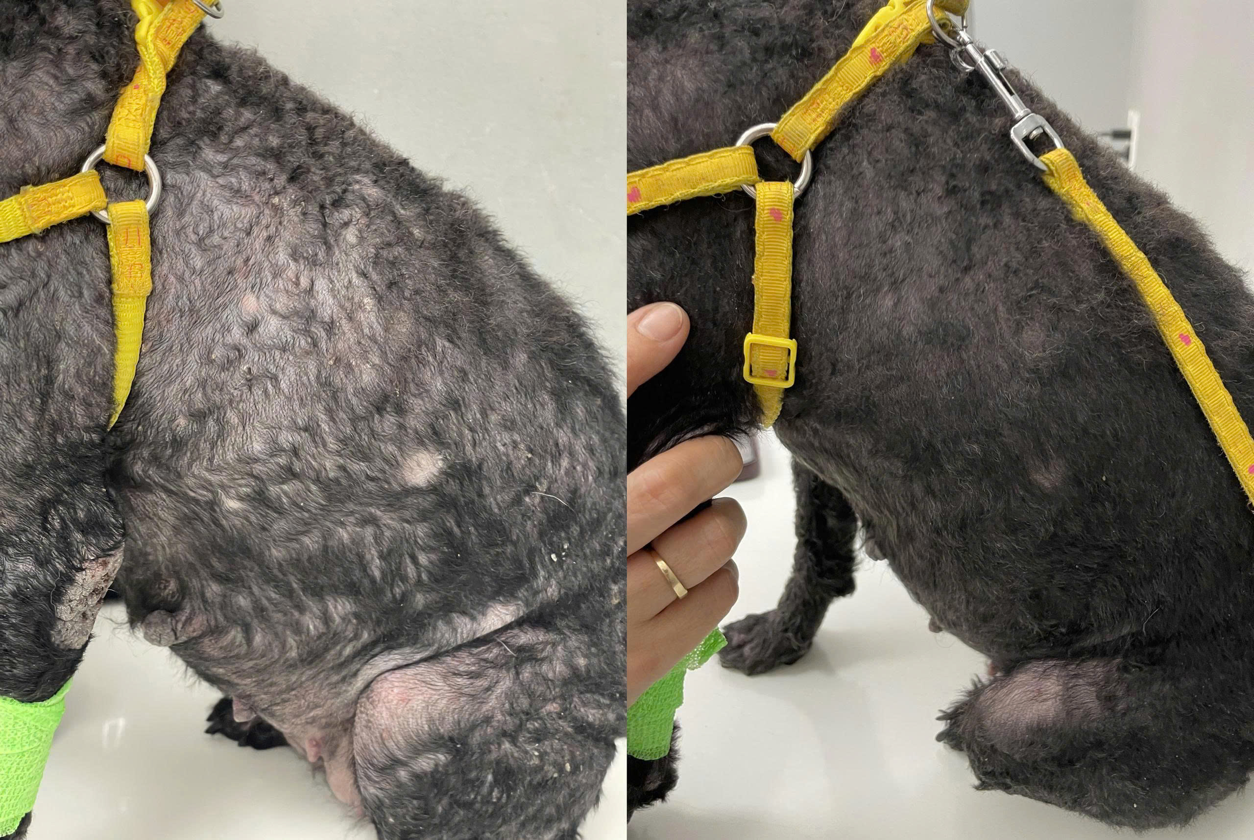 Tũn's skin before and after 14 days on True Nature Asia